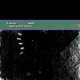 Sorry Not Sorry feat Koi Single