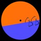 Endless Summer Single