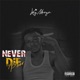 Never Die Poor Single