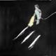 Cold Showers Cocaine Single