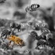 Running GRJ 20 Aniversario Single