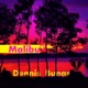 Malibu Is Rolling EP