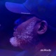 Pon Dih Rock feat Mervin Budram MD Single