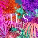 Ils