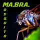 Mosquito Single