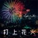 Fireworks Single