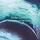 Cosmic Vibrations