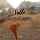 Valle Desolado Single