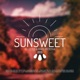 Sunsweet 009 Downtempo Organic House DJ Set DJ Mix