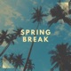 Spring Break Freestyle Single