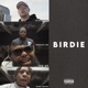 Birdie feat Berran Lee Fed Up King David 3K Single
