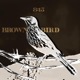 Brown Bird Single