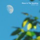 Moon In the Sunshine Single