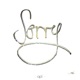Sorry Single