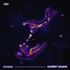 Senses Single