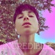 Incredibile Single