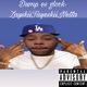 Dump Es Glock feat Tayeeskii Netta Single