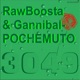 Pochemuto Single