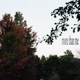 More Than Me Single