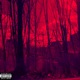 Visceral Single