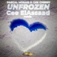 Unfrozen Remix feat Che Cherry Single