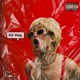 Edi Wag Single