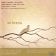 Witness