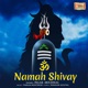 Om Namah Shivay Single