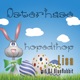 Osterhase hopedihop Osternest Version Single