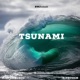 Tsunami feat Bizzouch Single
