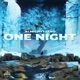 One Night Single
