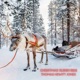 Christmas Sleigh Ride Single