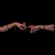 No Love feat LYAN Kali Single