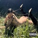 FØDER FØLL Single