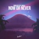 Now or Never feat Aniela Single