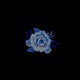 velvet Single