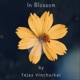 In Blossom Single
