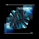 FS004 EP