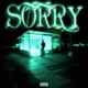 Sorry Single