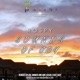 Sounds of Joy Single