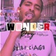 The Wonder Boy