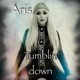 Tumblin Down Single