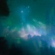 Night Light Single