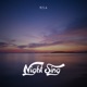 Night Sing Single
