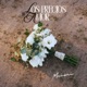 Los Precios del Amor Single