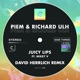 Juicy Lips feat Mikey V David Herrlich Remix Single
