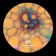 Disclosure Pattern SYEP030