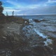 Lost Elm Single