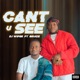 Cant u See feat Bruize Single