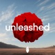 Unleashed Single